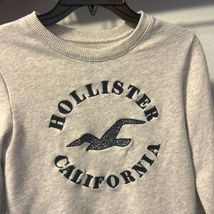 Hollister crew neck sweater shirt